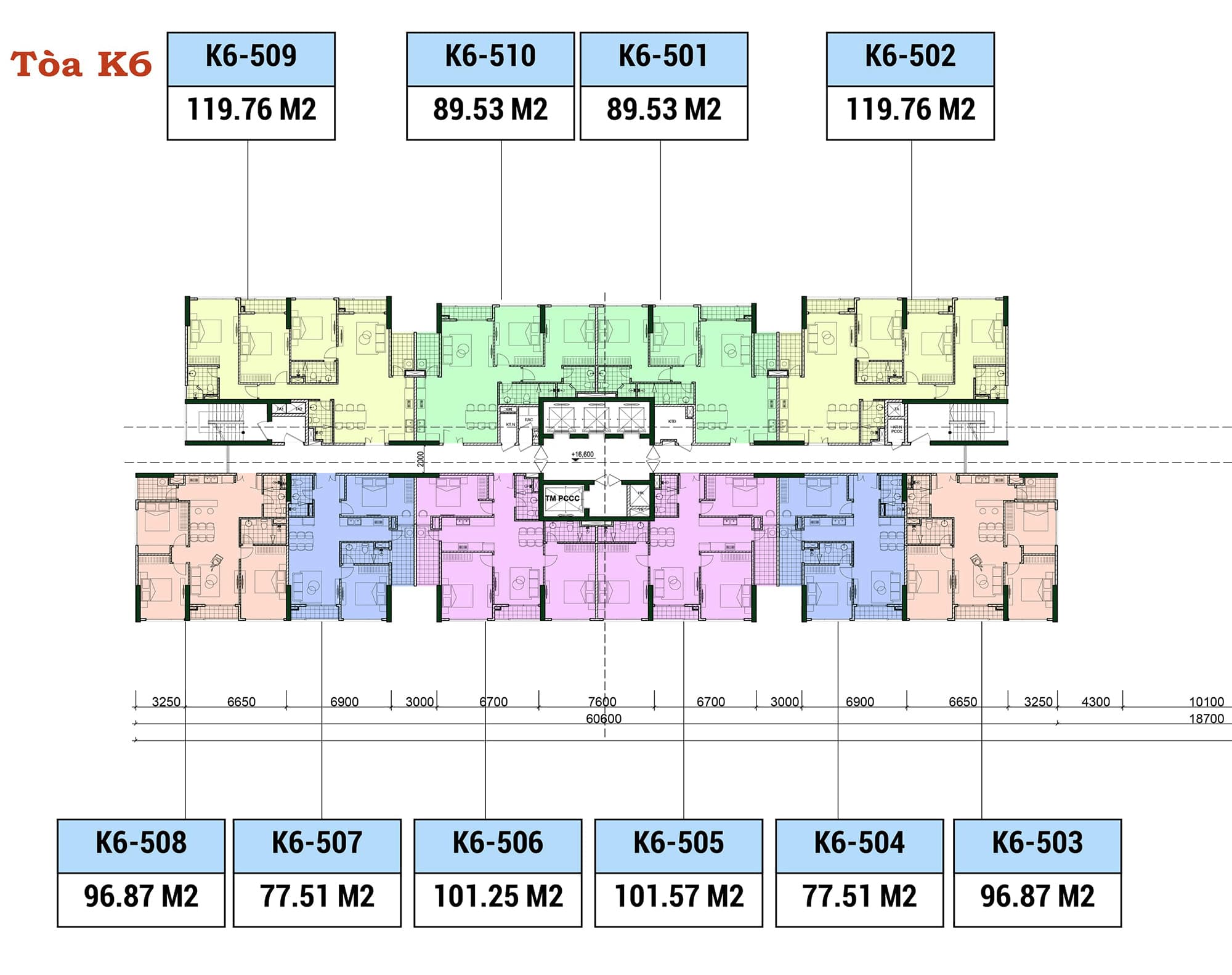Mặt bằng tòa K6 Khai Sơn city