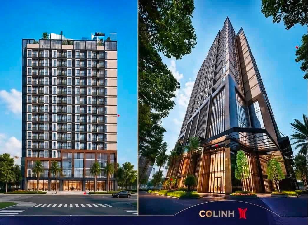 Mặt bằng dự án noxh CT1 Cổ Linh